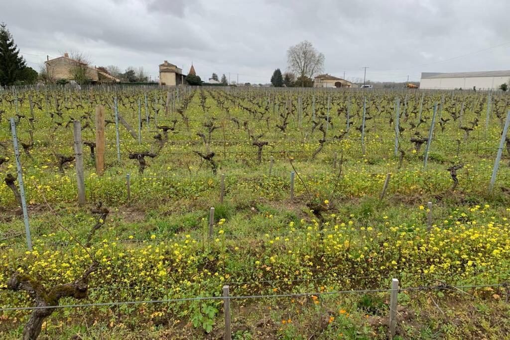 Chateau Roseyrol Proche Saint-Emilion Екстериор снимка