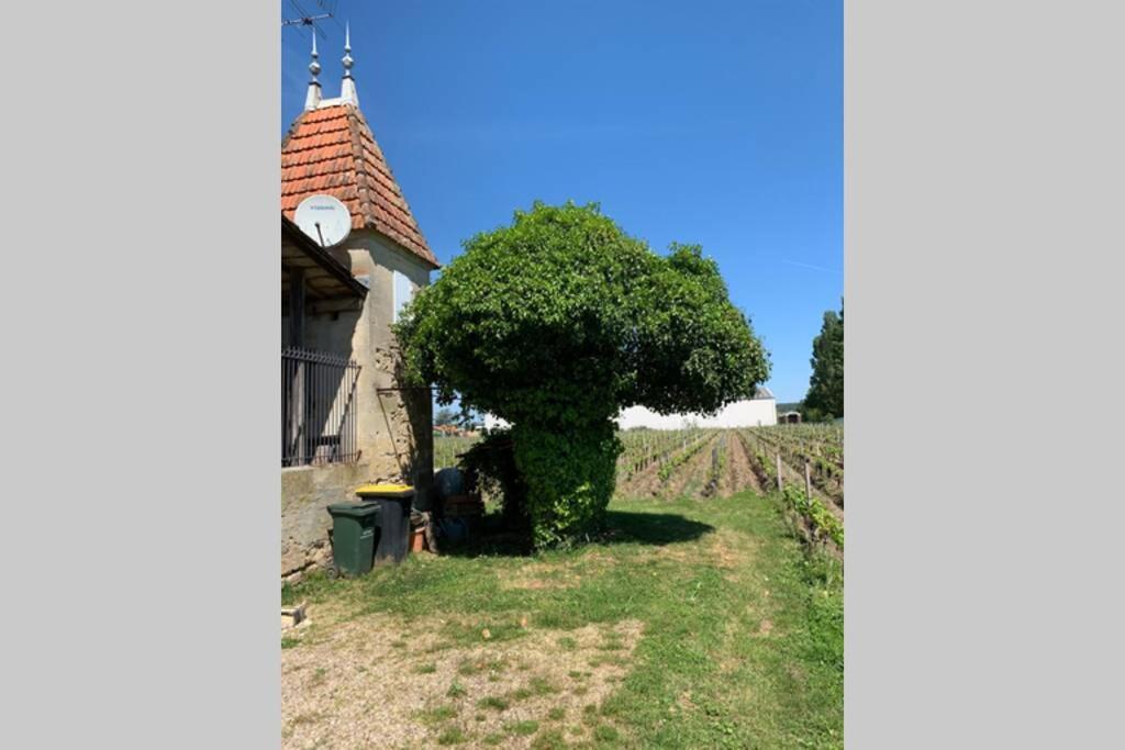 Chateau Roseyrol Proche Saint-Emilion Екстериор снимка