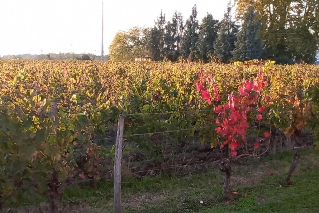 Chateau Roseyrol Proche Saint-Emilion Екстериор снимка